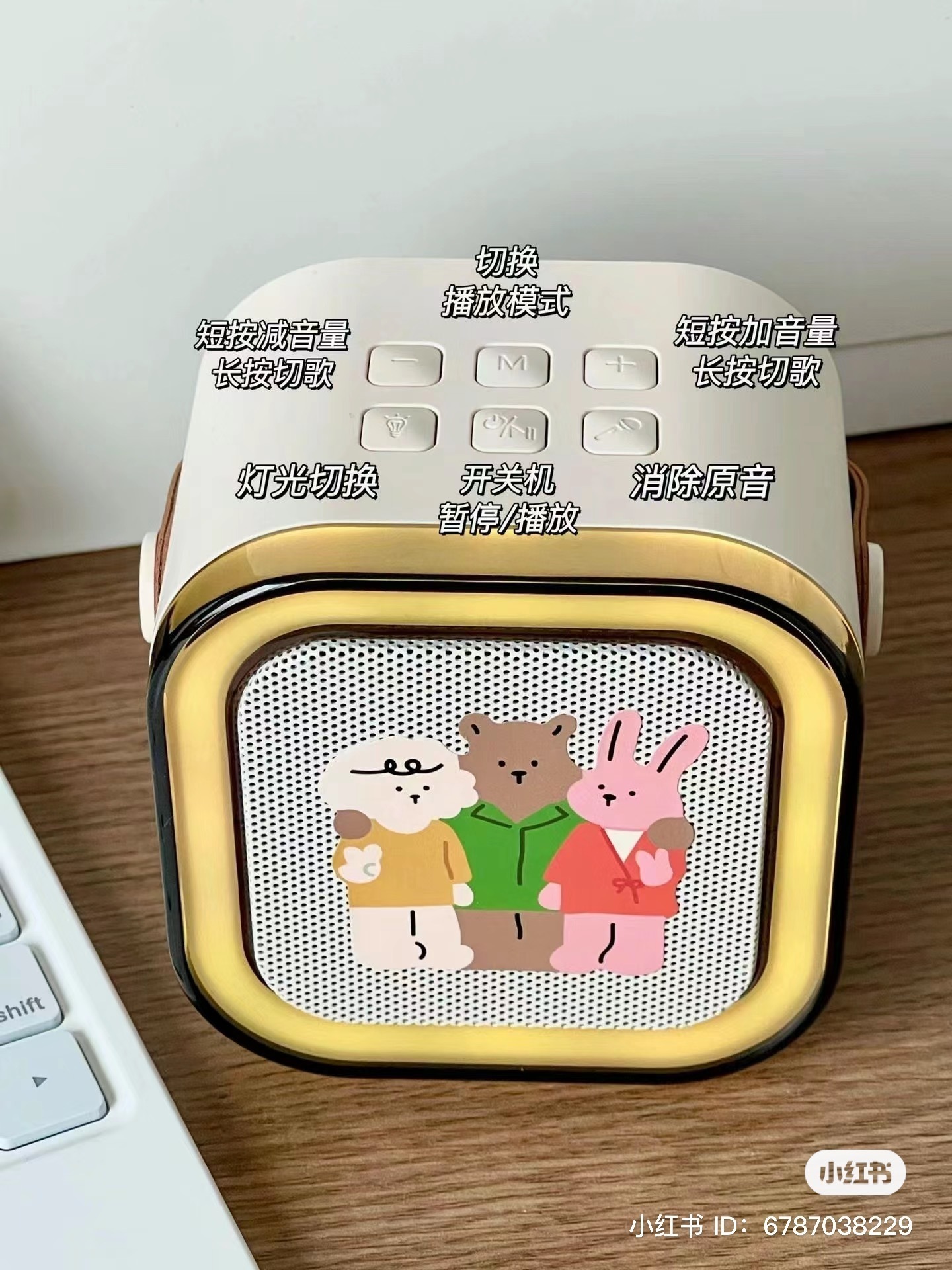 IMG_6920-1734781395878