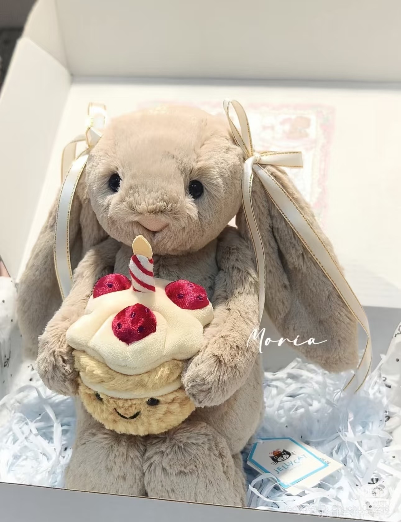 image_6B6DF24A-D6B5-40DC-9965-CD64FD514CA1_1774518931