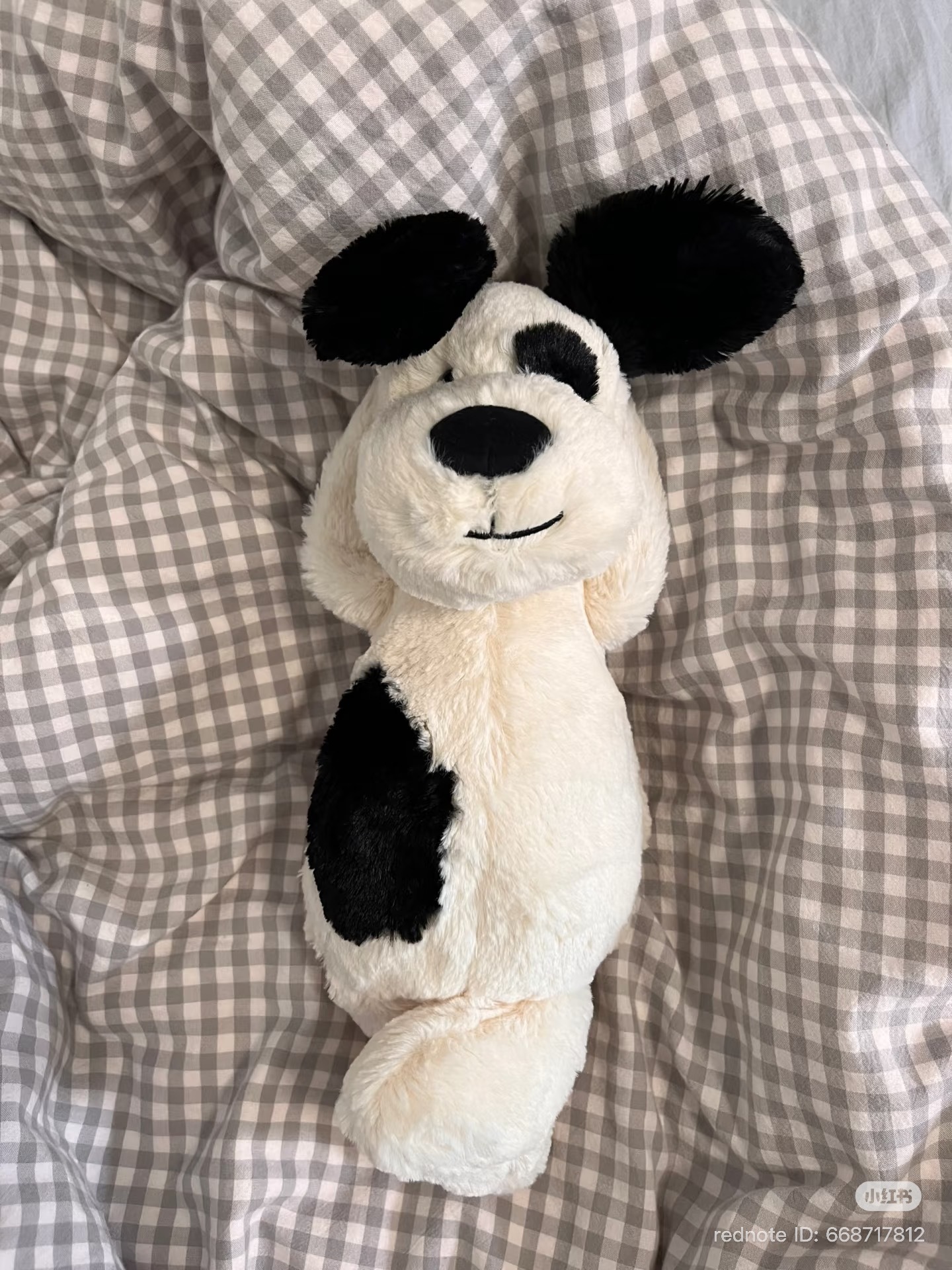 image_A22892A6-C7E1-441B-BD09-708BDFE9DE0D_1774793499