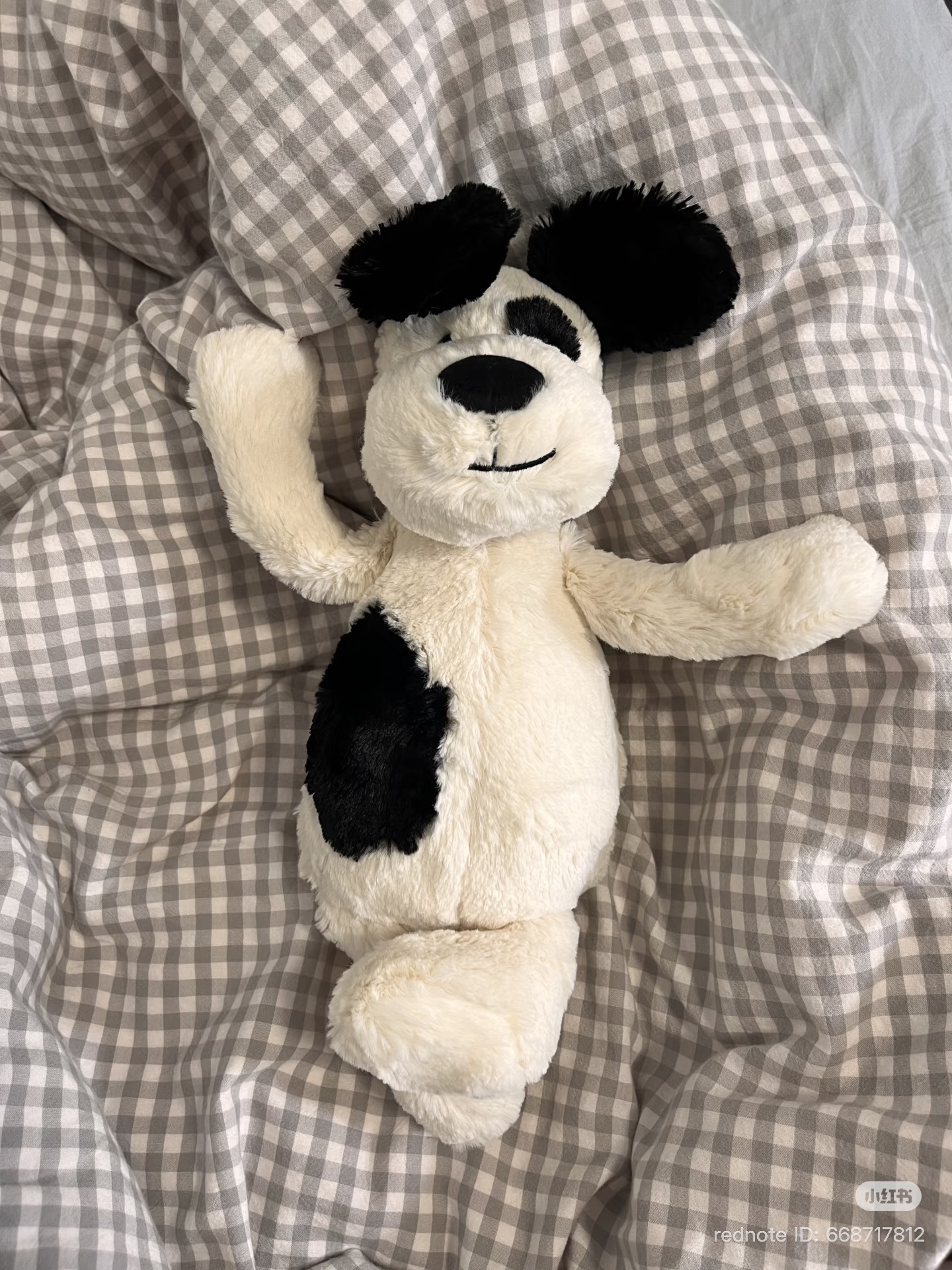 image_0DEB2242-95DF-4093-B618-290C42D19C7F_1774793499