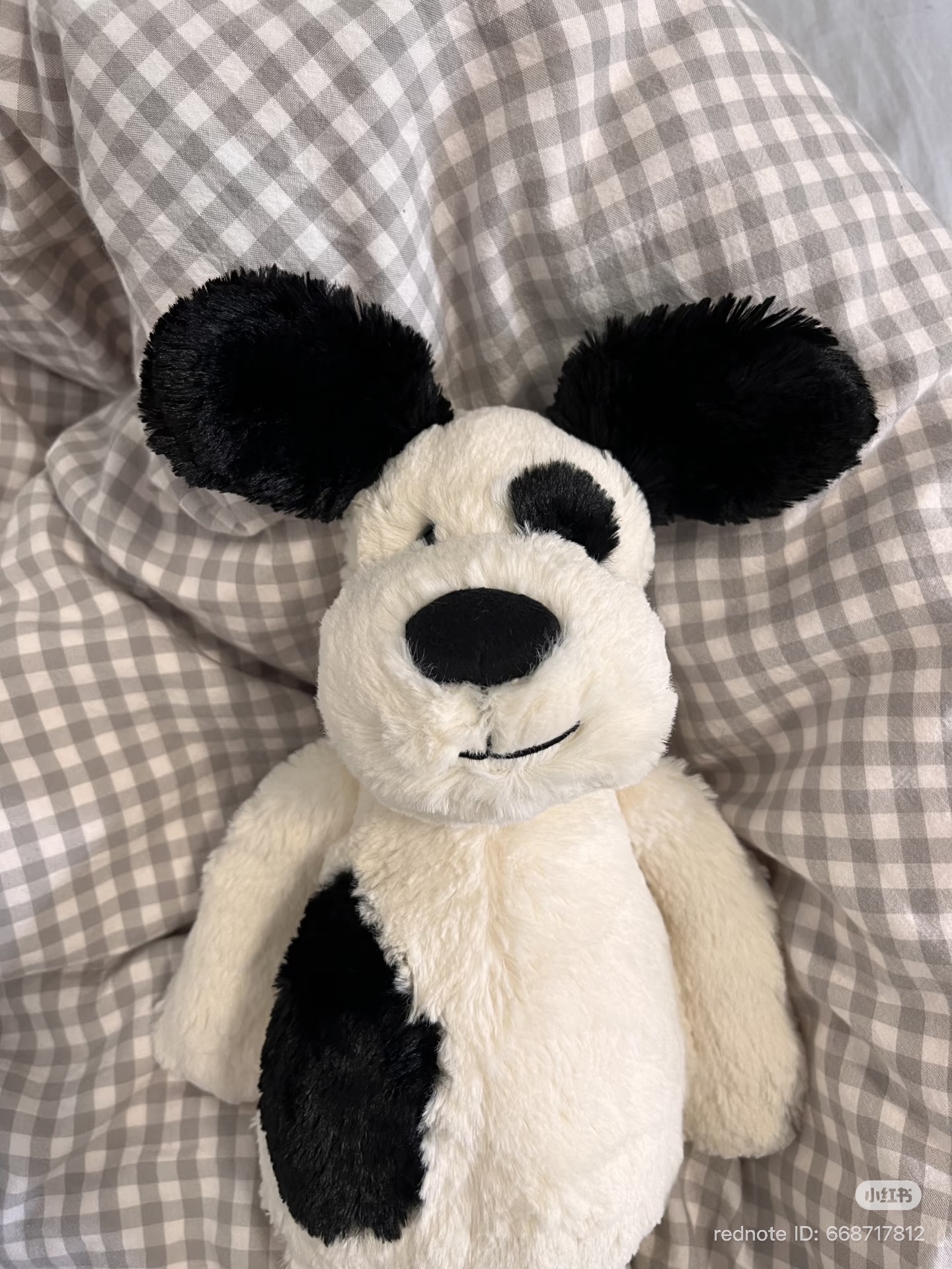 image_4CEF183E-59C1-4F1E-ADD3-CA2A6640C5DA_1774793499