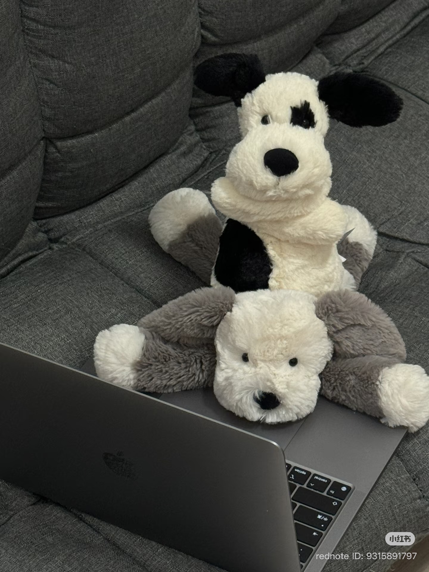 image_571F4828-3BA4-4D85-A98D-10E482BB733F_1774793499