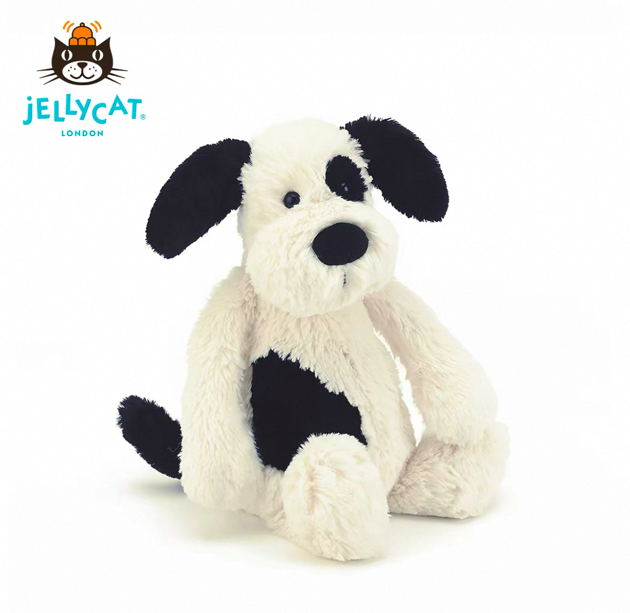 image_64F1627C-0071-4380-8F7D-331E9EC41C1B_1774793514