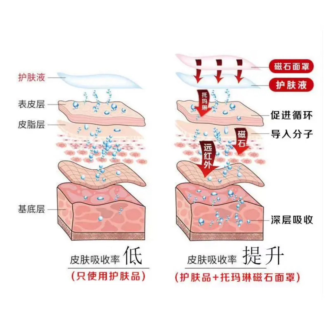 IMG_8207-1727014154033