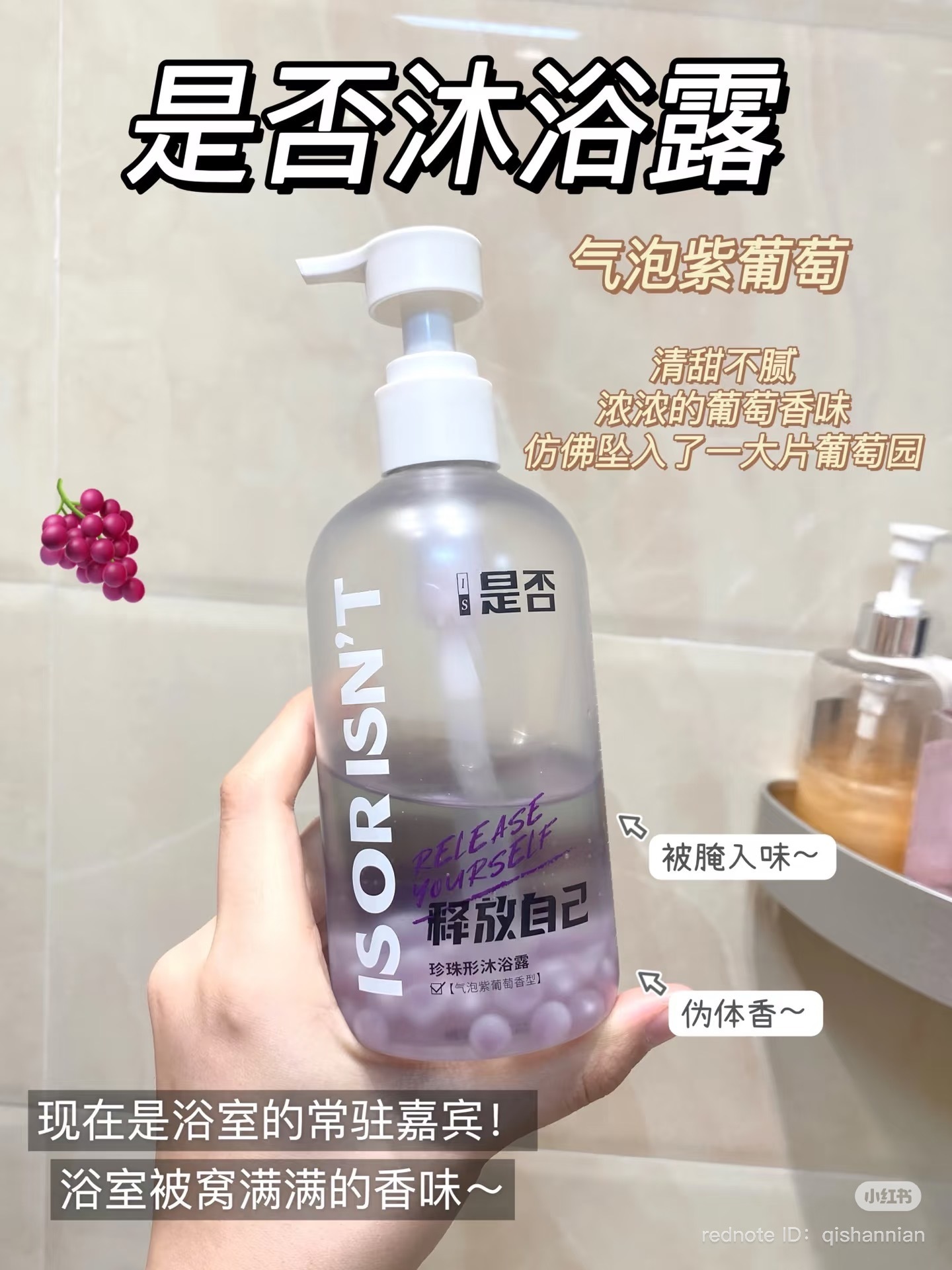 image_A6F4C095-6924-4C26-BF55-D1CC2E104607_1741858958