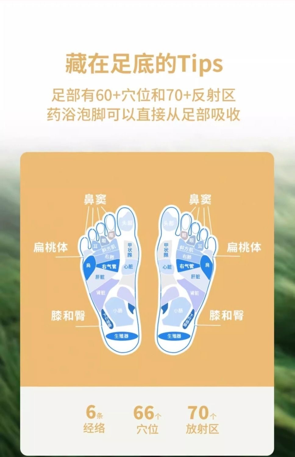 IMG_6226-1726542361501