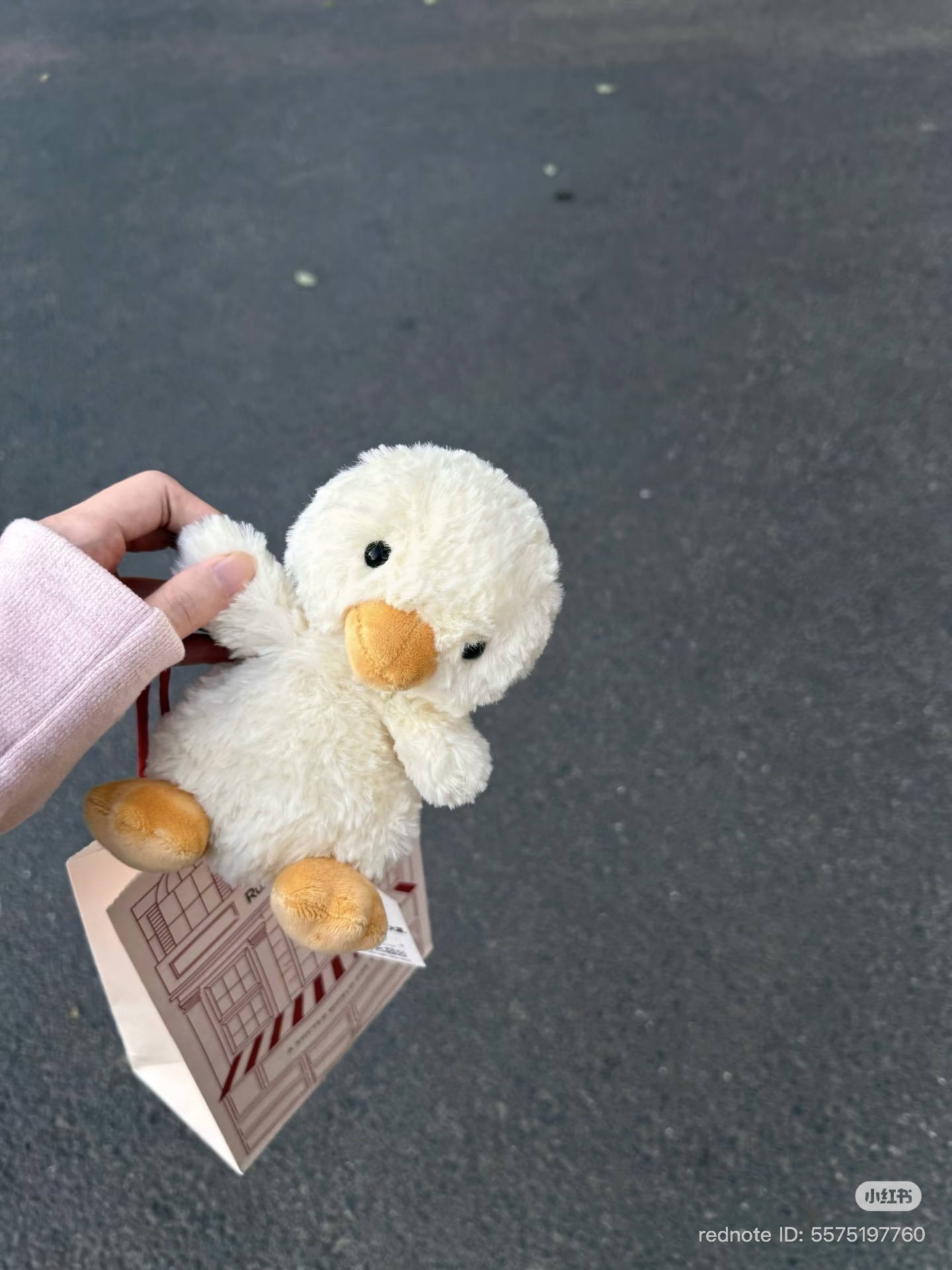 image_0CADB549-A910-404F-AB1B-A50C5DFE761D_1776324425