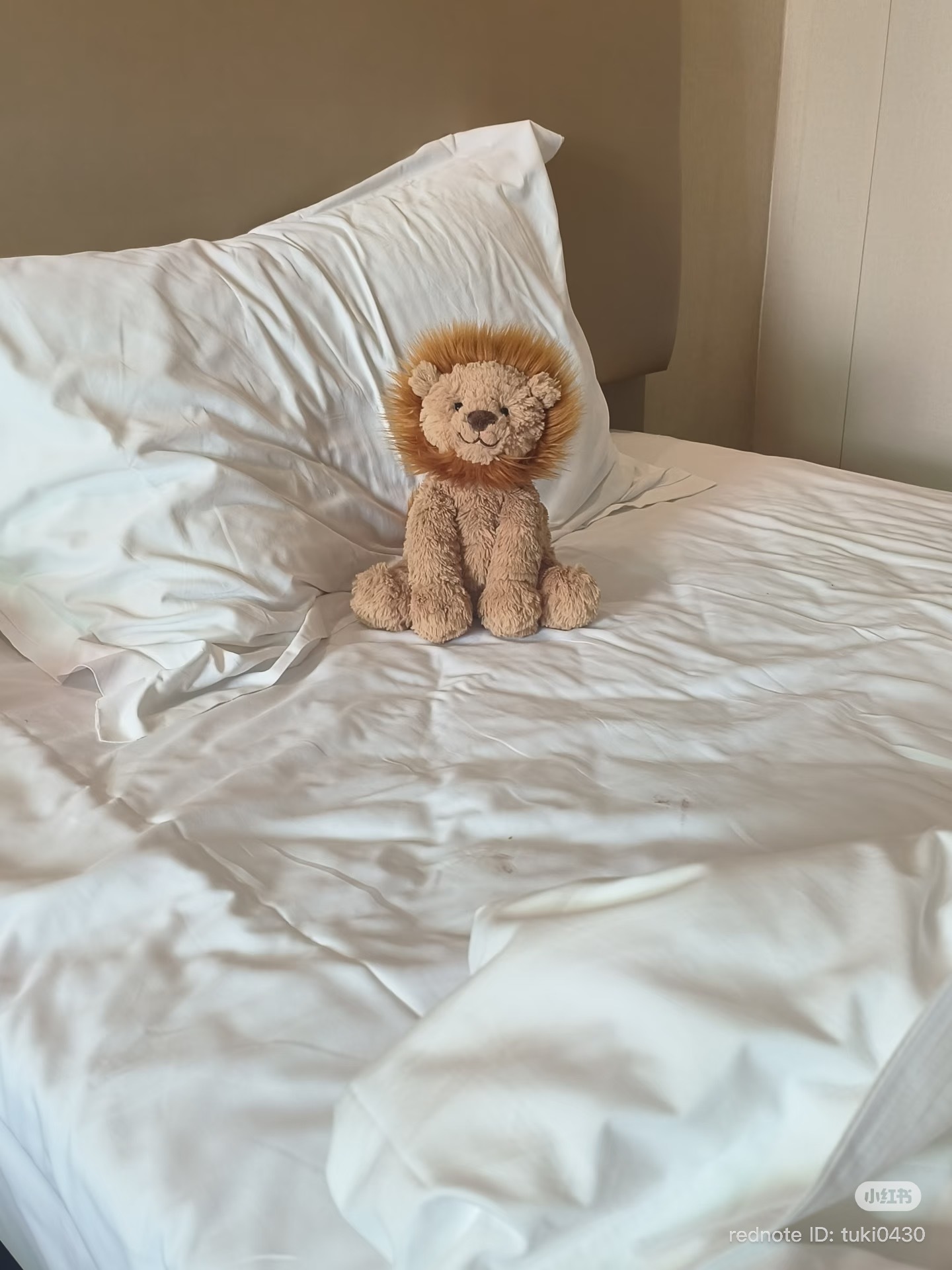 image_B41B2131-9907-4099-8A18-14C2B072FFD9_1776324675