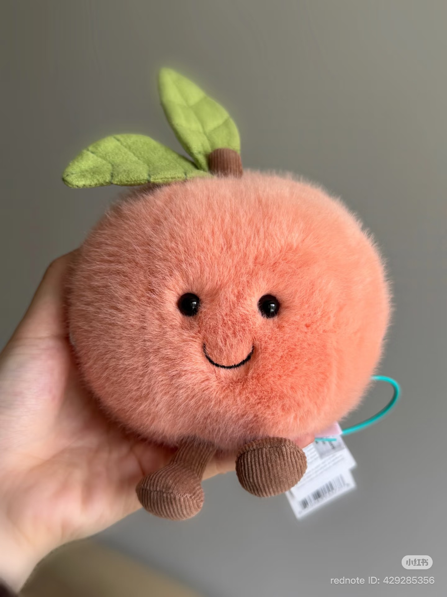 image_28507A80-CB8C-4EBE-9DFC-BD68A9CC71F6_1776325264