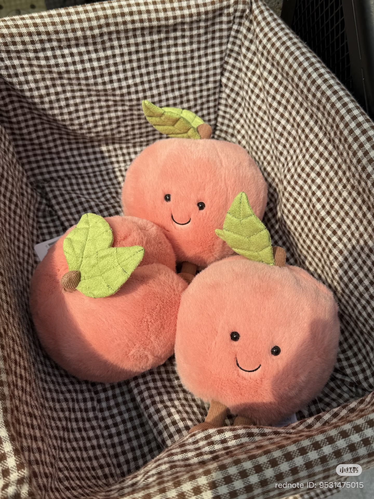 image_56D22434-381B-4191-B6E3-71A3B0CCCF21_1776325264