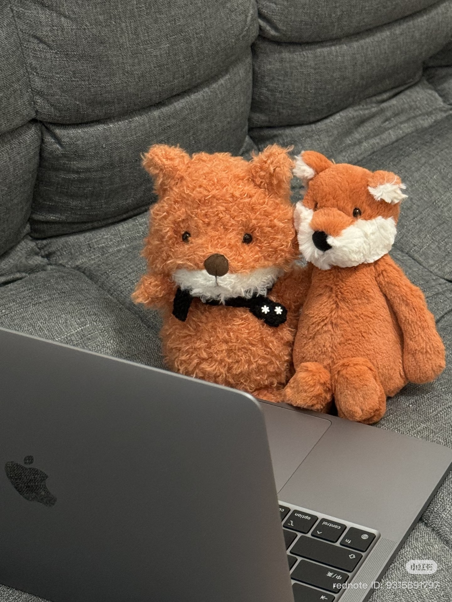 image_C4545323-CCD2-43FA-A6E1-F5C908D542B7_1776325573