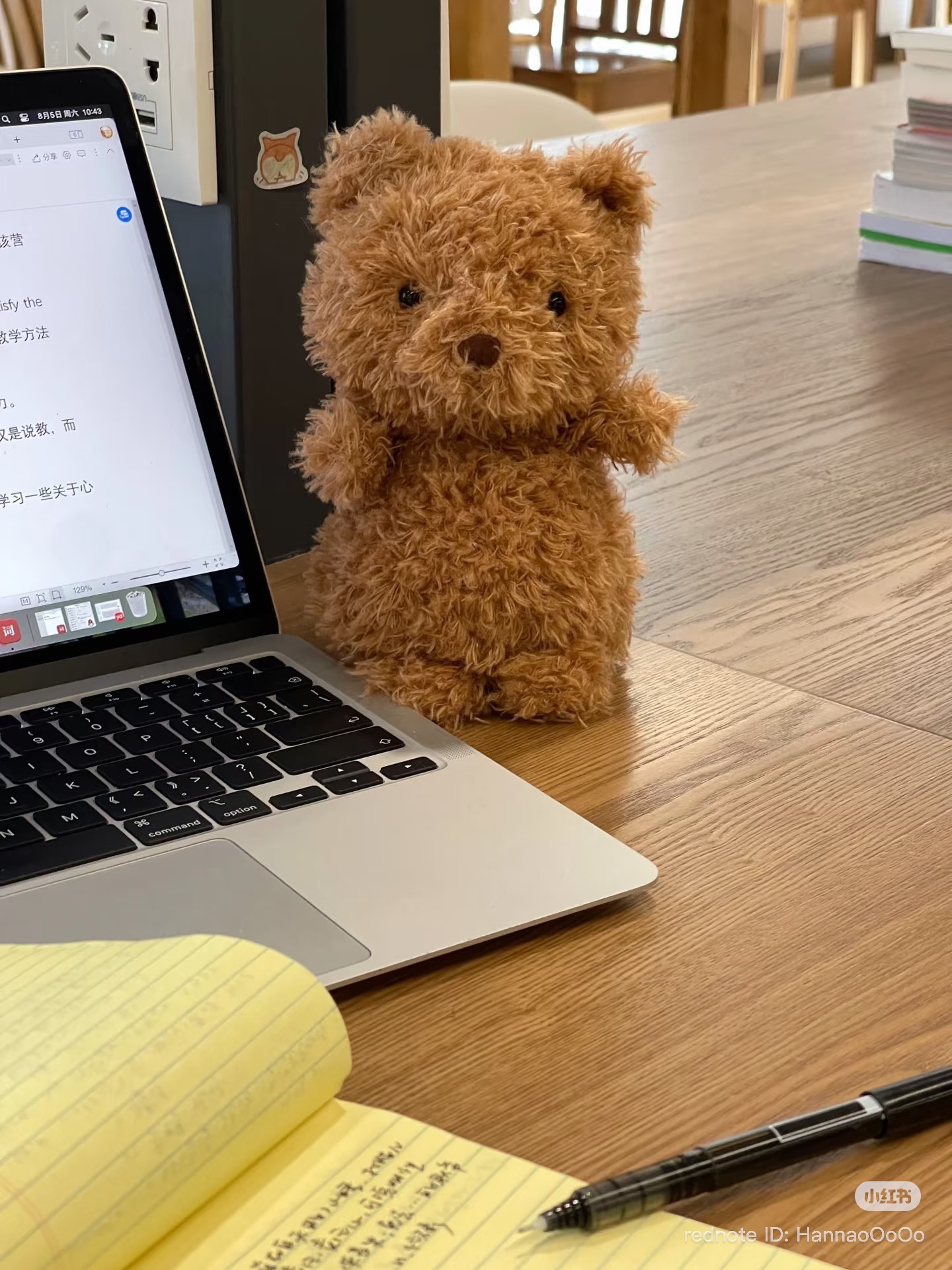 image_336A9A95-8527-41C5-9568-D898B03EC6B6_1776326952