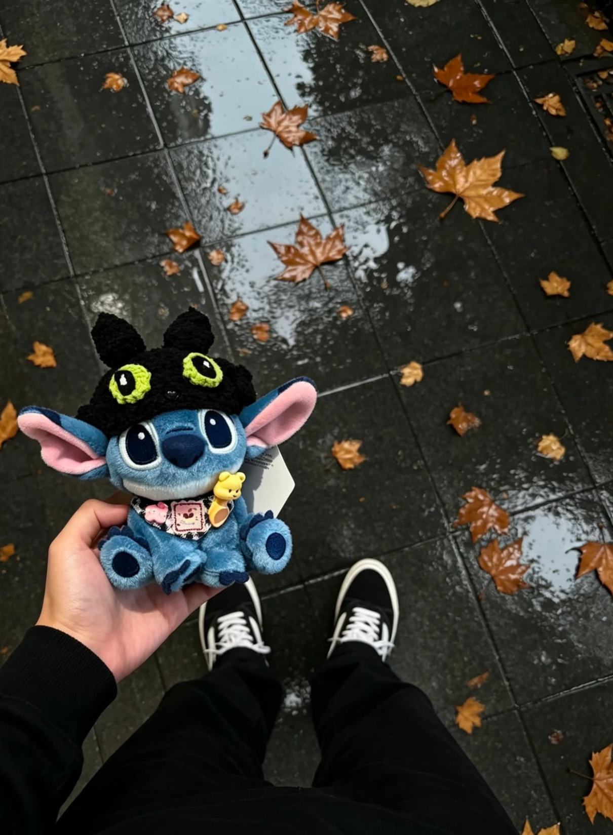 image_C6D08B90-33AF-4E2F-9951-C23E932A48AE_1778998506