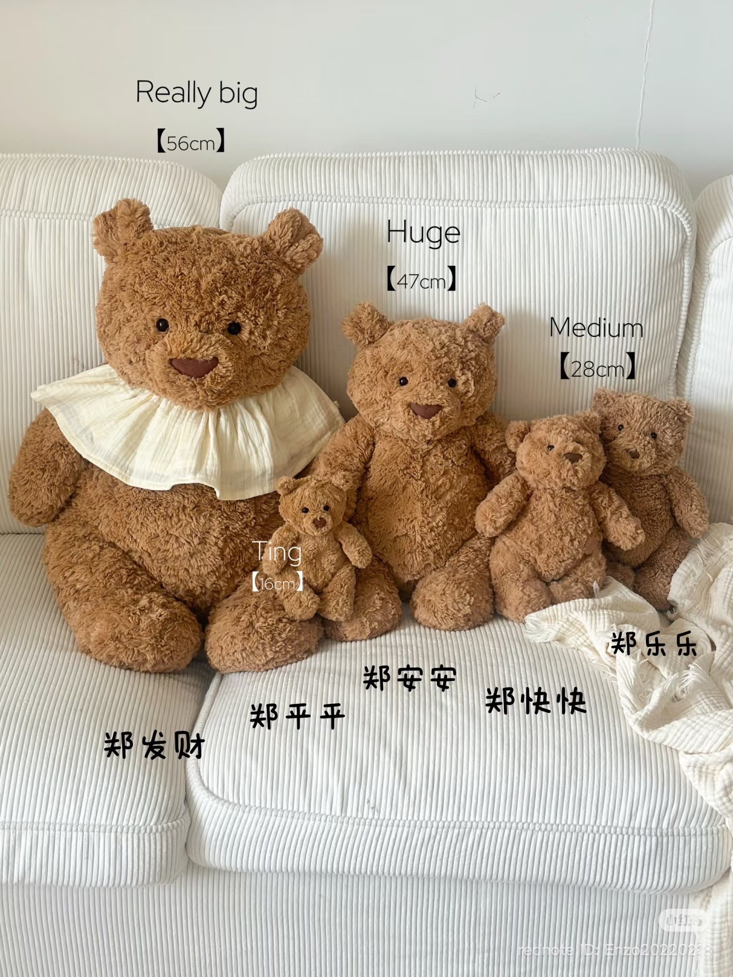 image_E09FAE0A-ACD4-4B75-9E39-FE1589267BEA_1783754667