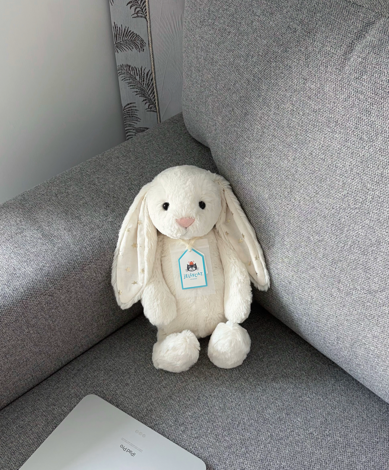 image_A622582D-FA8B-4381-A110-862C6E1F23A7_1784621489