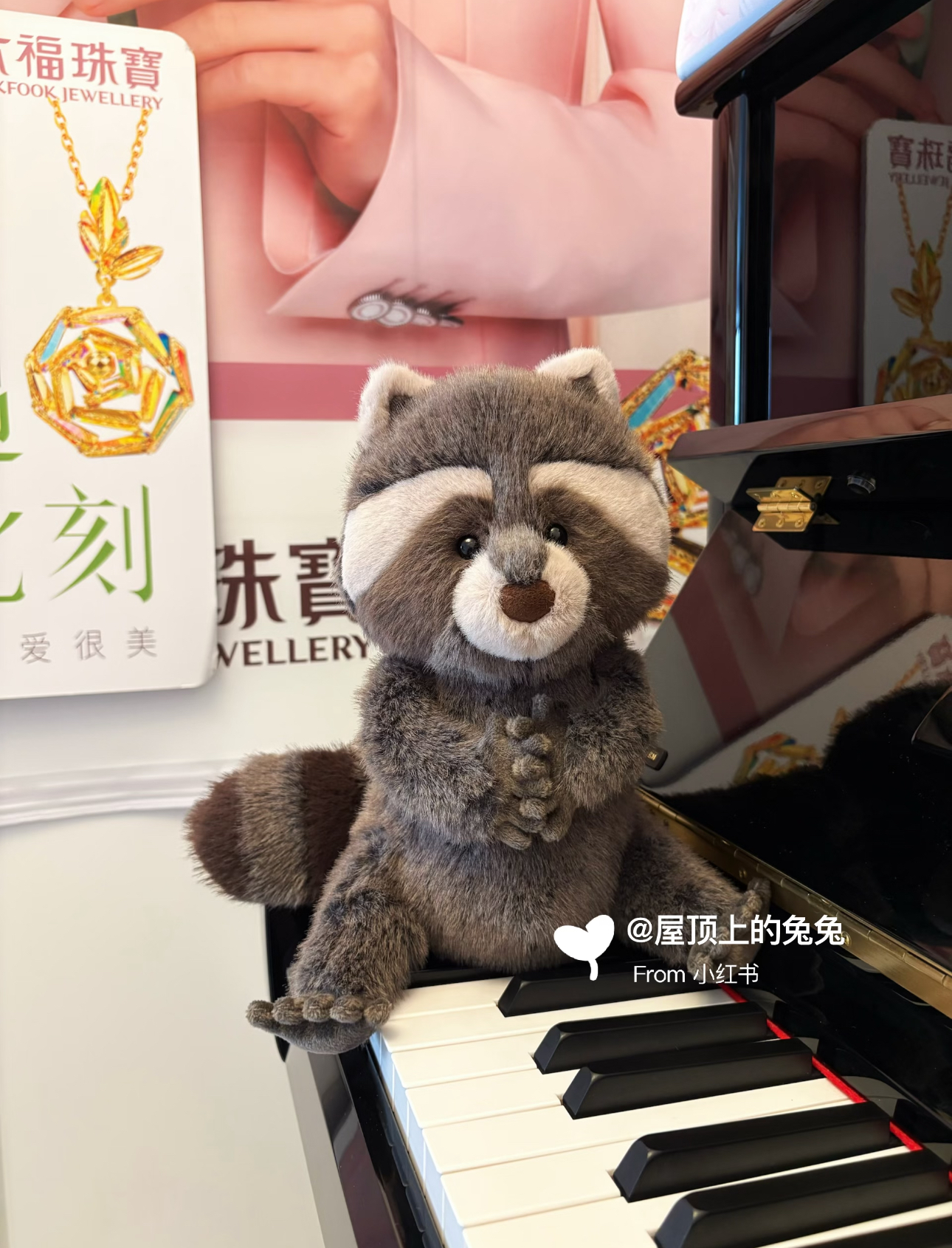 image_C4DD613B-A0DF-434E-8539-B92E24EAD60B_1784803732