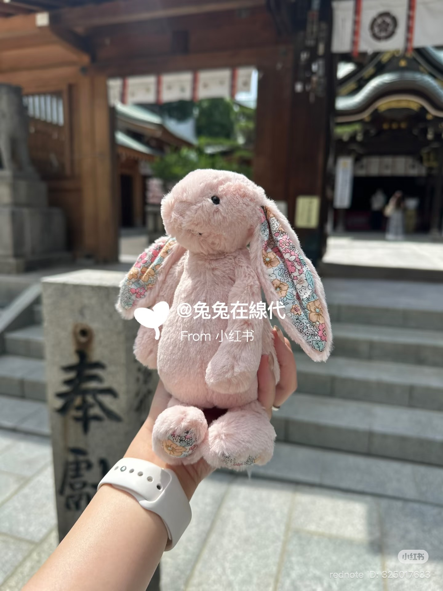 image_4B105C1E-CF5F-45E2-B92D-B739ECA3EAAC_1785317519