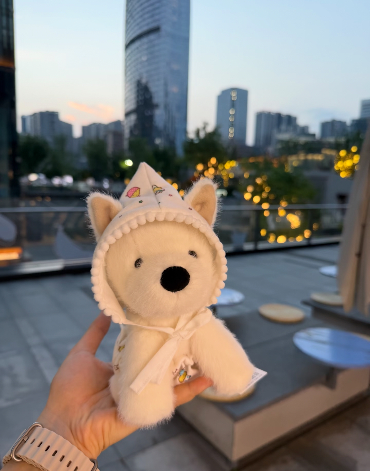 image_A7C870D6-BA78-472E-ABFB-B6C654B9E340_1786432245
