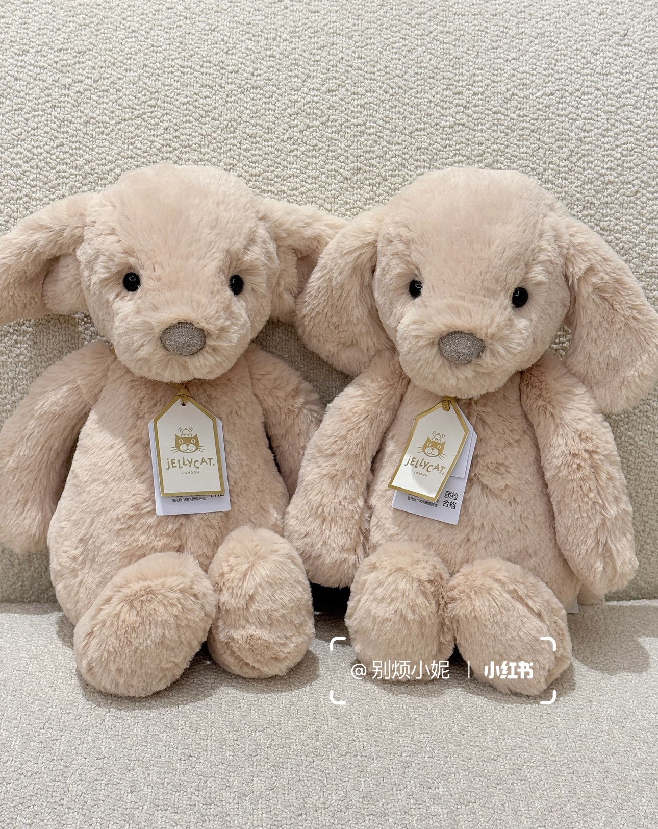 image_A693D8AA-E6E6-4C60-97BA-686AED570C0E_1786518415