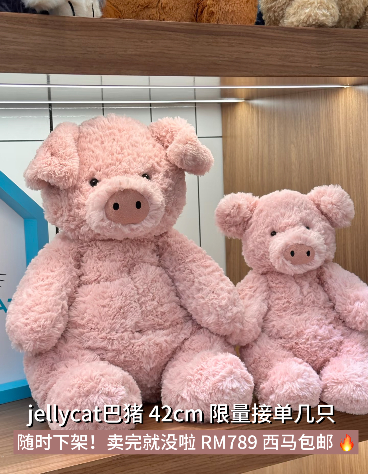image_BF3C9987-A5F6-4C36-B39F-DEF87EFBC5EE_1788354953