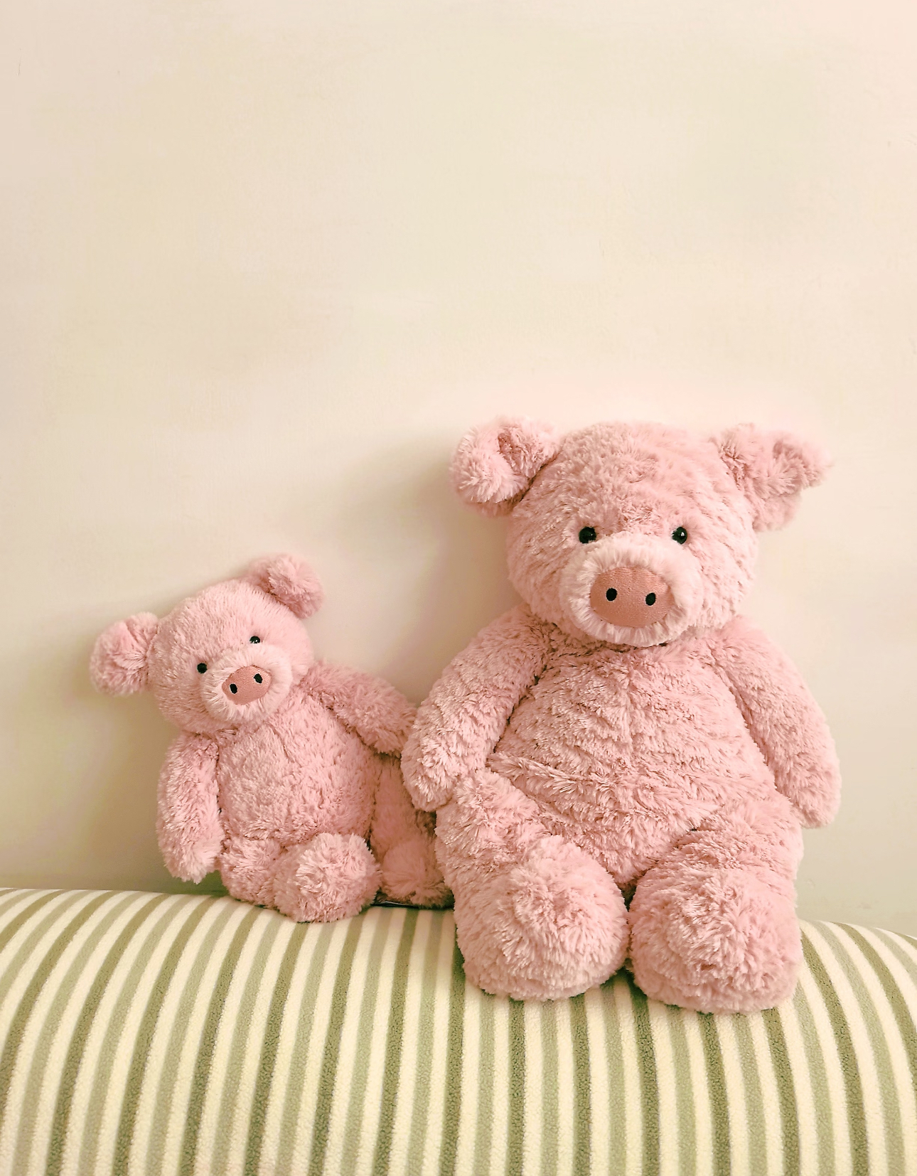 image_A5888A02-924D-4557-B8EE-EDDD3CF51FD9_1788354953