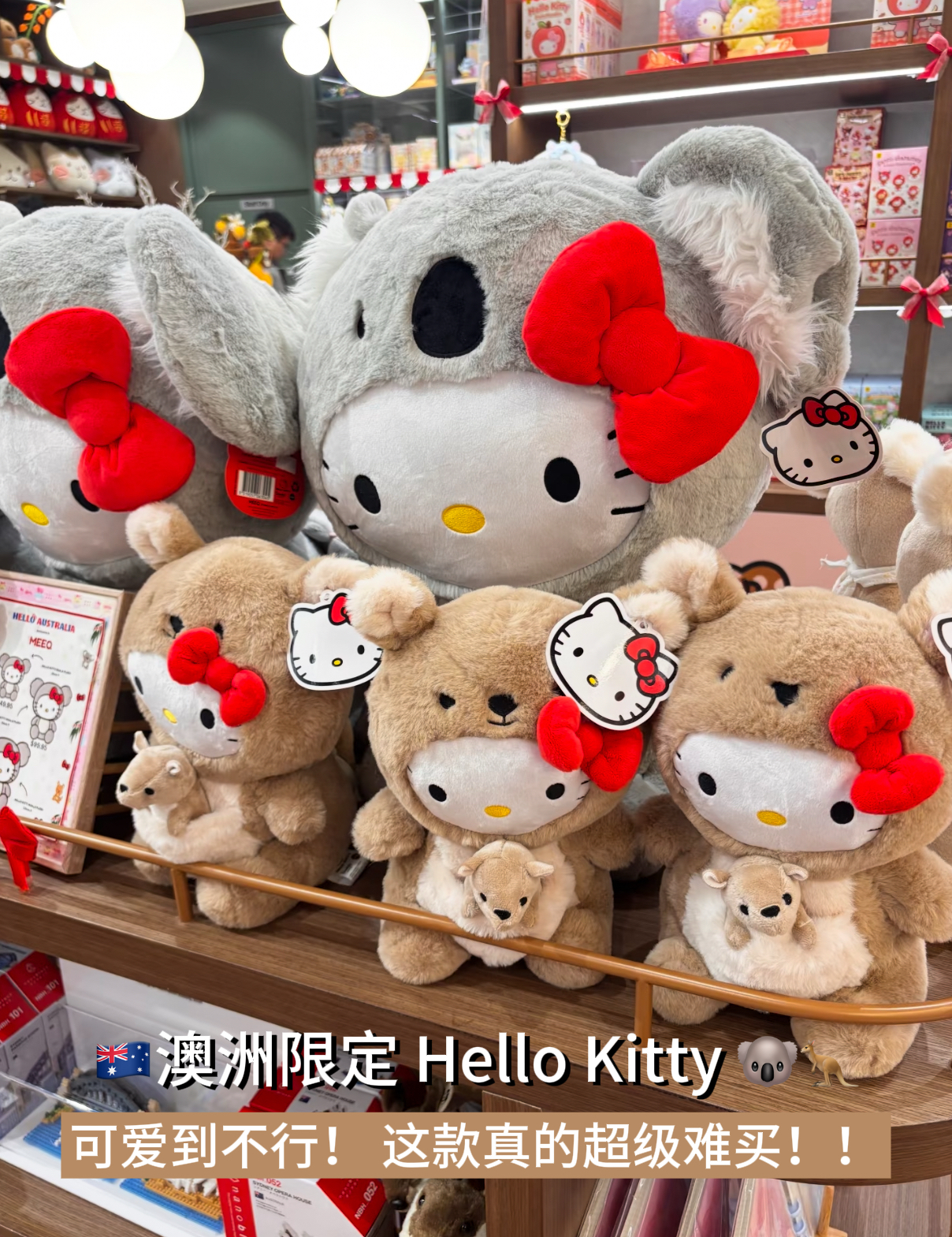 image_BFD8EE47-8AF5-4ADC-9CB6-7CE2345D81CB_1788775936
