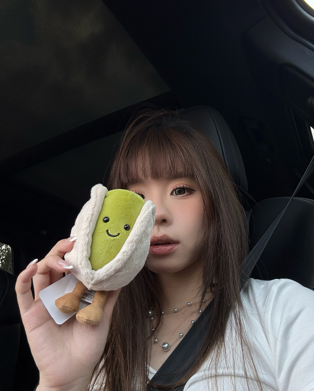 image_331FD78B-A4A3-4A68-8F4F-B06EC9AC2A3E_1789029932