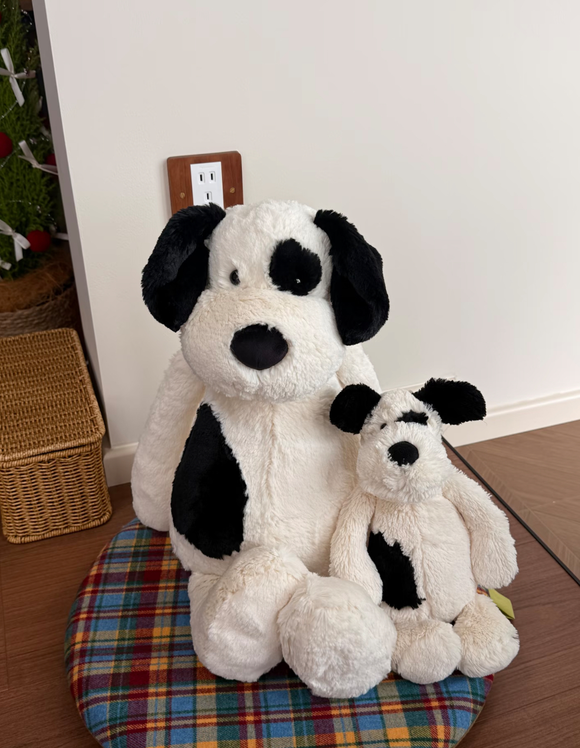 image_6858AD10-D7E2-455F-9437-4749FFE7AC74_1789051050