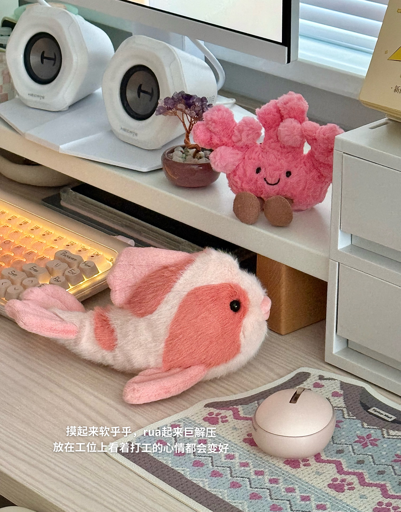 image_D65B39FD-B09D-4CEE-8750-1398A5230C65_1789707537