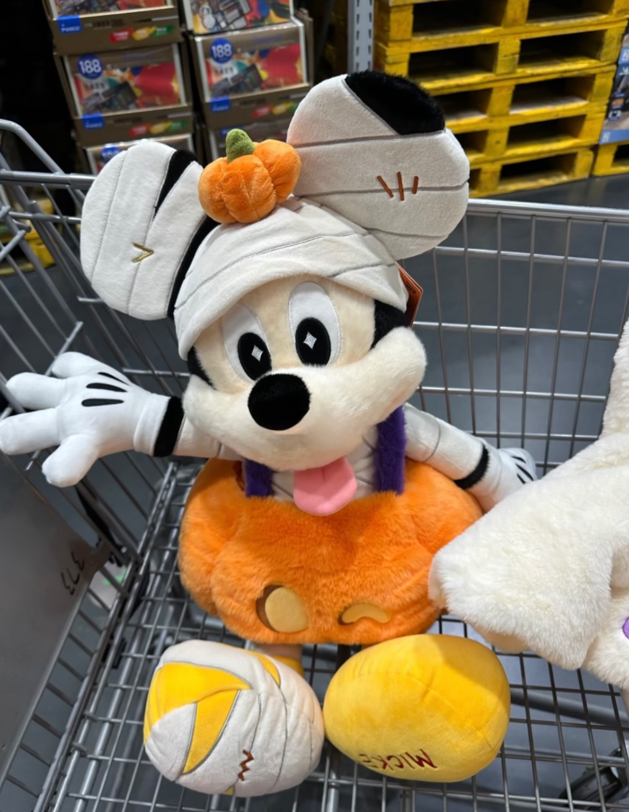 image_474DBF62-723D-473F-9E18-D998E2CC8F05_1790230223