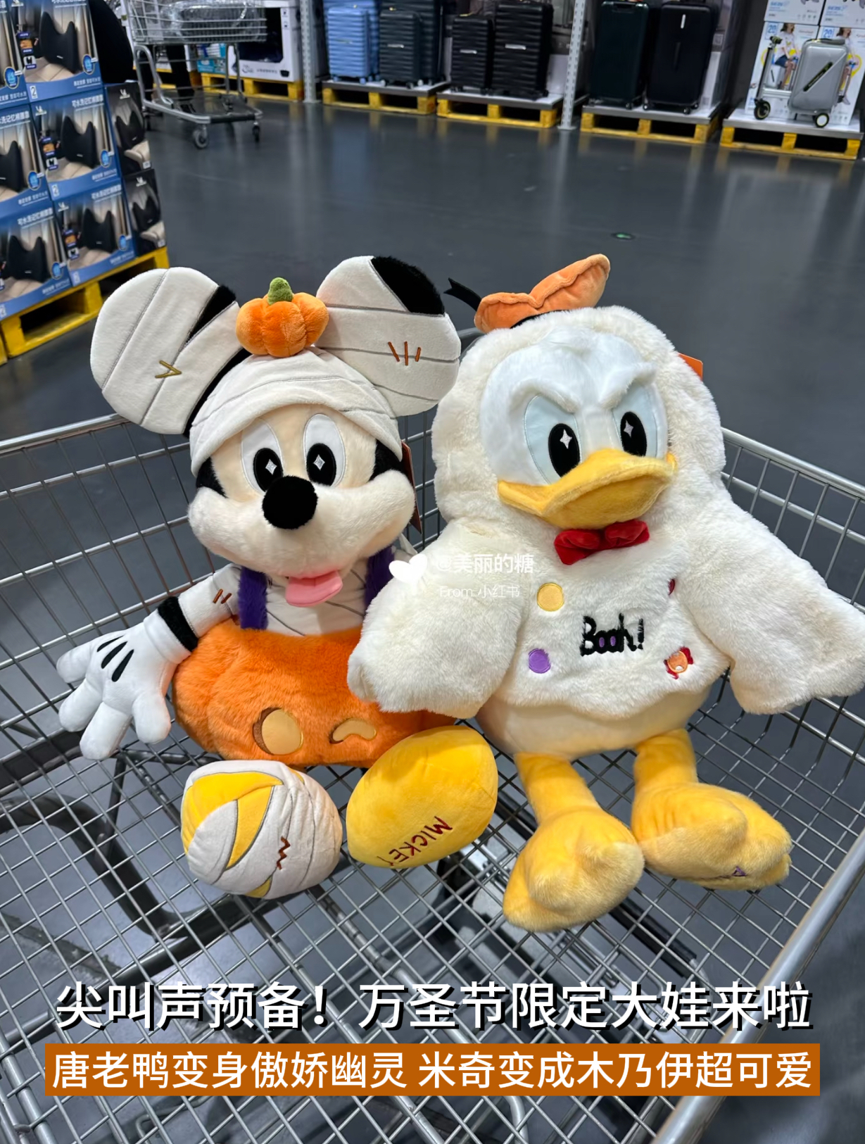 image_BE610921-13C5-4ADF-BF78-C0D9FDA25478_1790230223