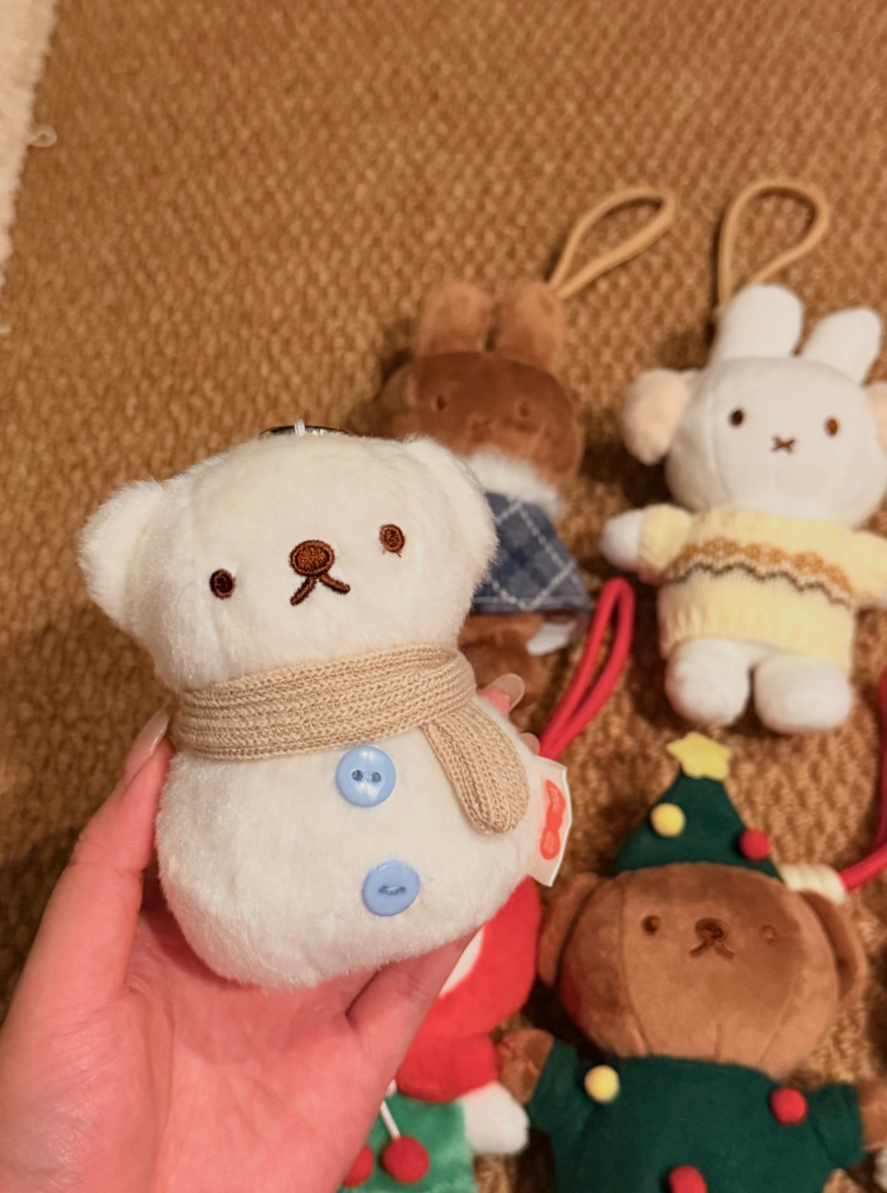 image_2C8887D6-73AC-4889-8C39-F5795DF42B6C_1791531003