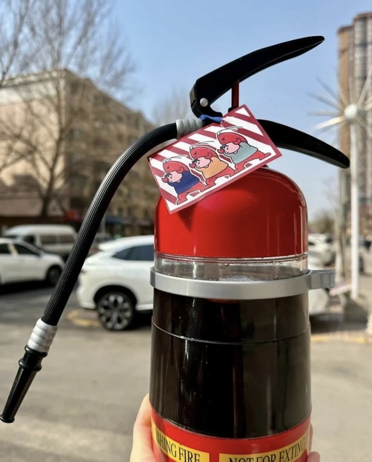 IMG_1349-1717260084307