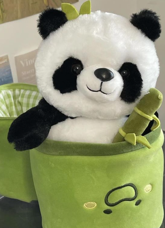 Screenshot 2024-06-02 213355