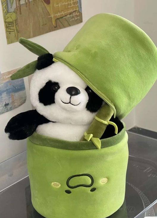 Screenshot 2024-06-02 213058