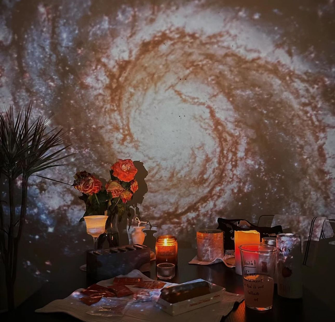 IMG_9527-1717514697580