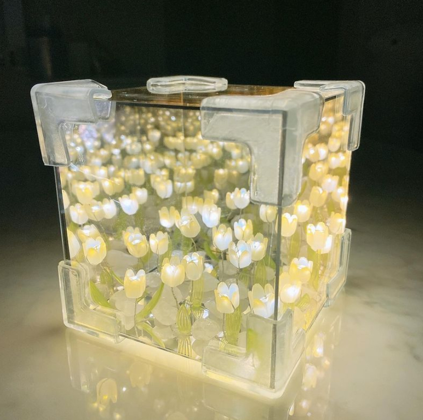 IMG_1518-1717593864444