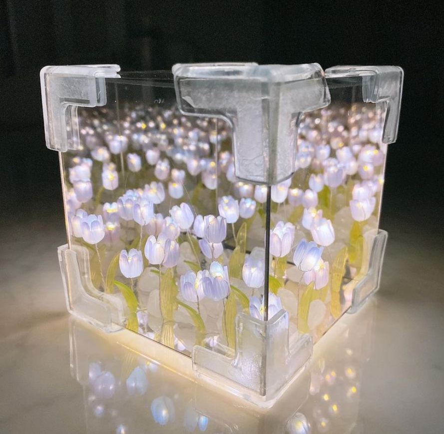 IMG_1519-1717593864450