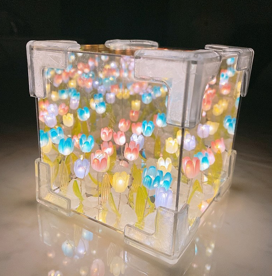 IMG_1520-1717593864456