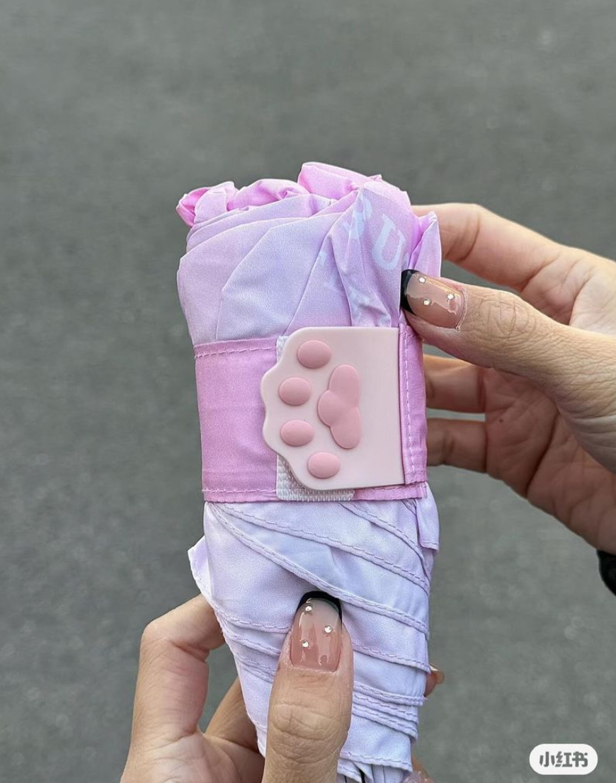 IMG_1569-1717596609289