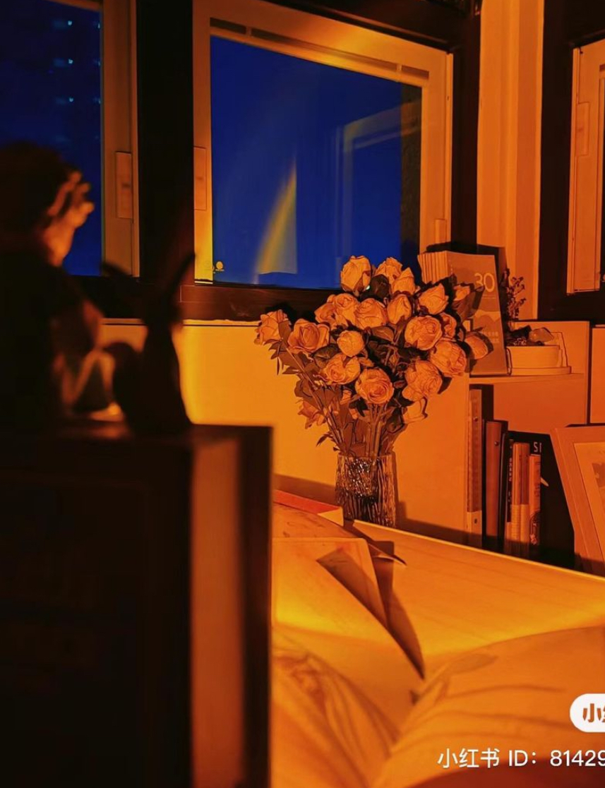 IMG_1641-1717690052255