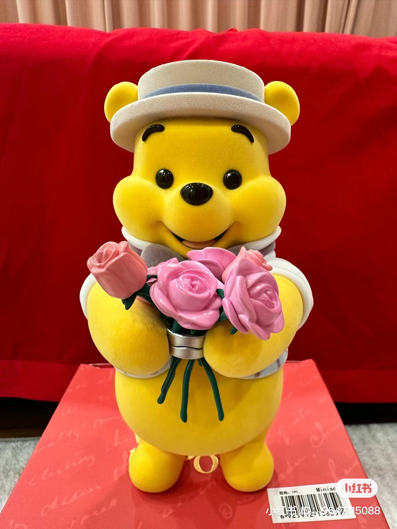 IMG_0260-1717759764450