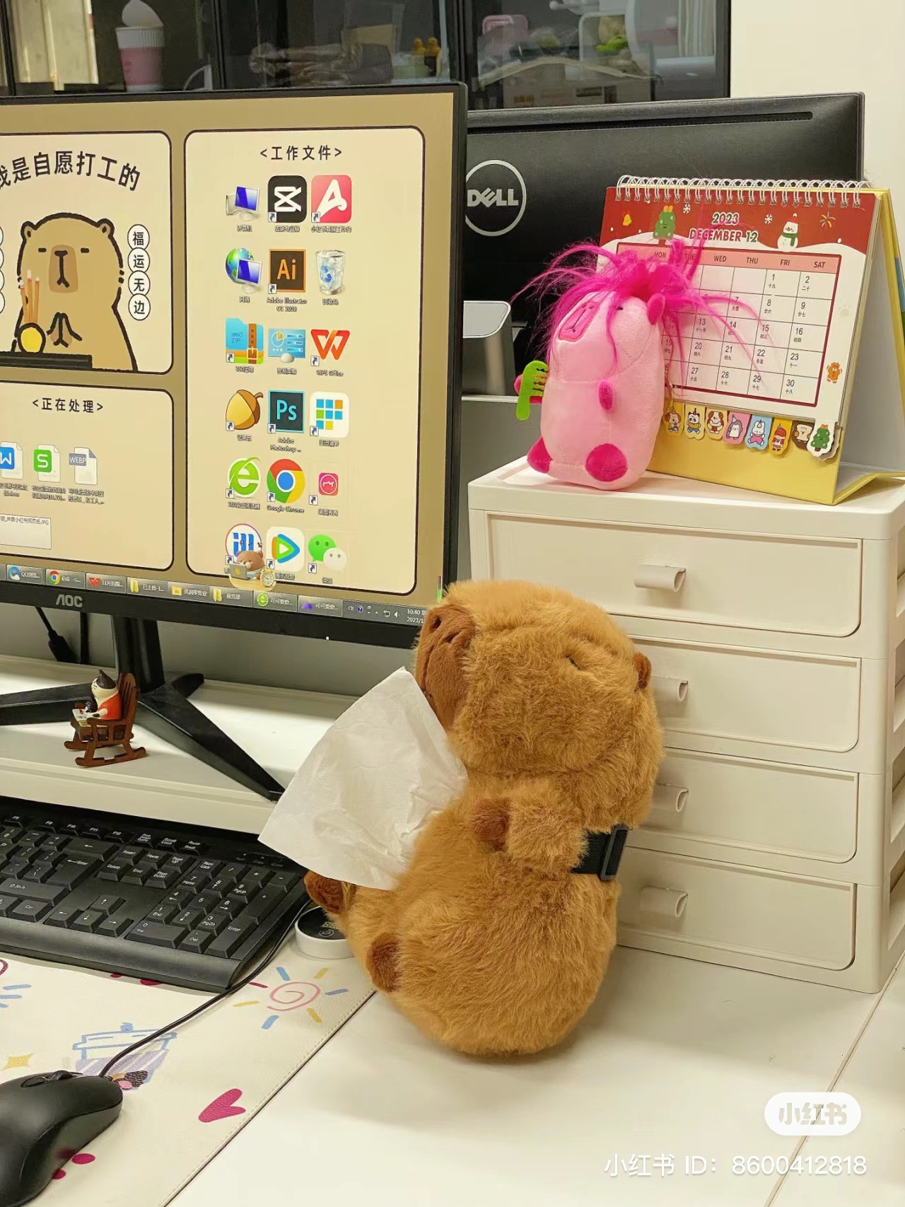 IMG_1709-1719650509003