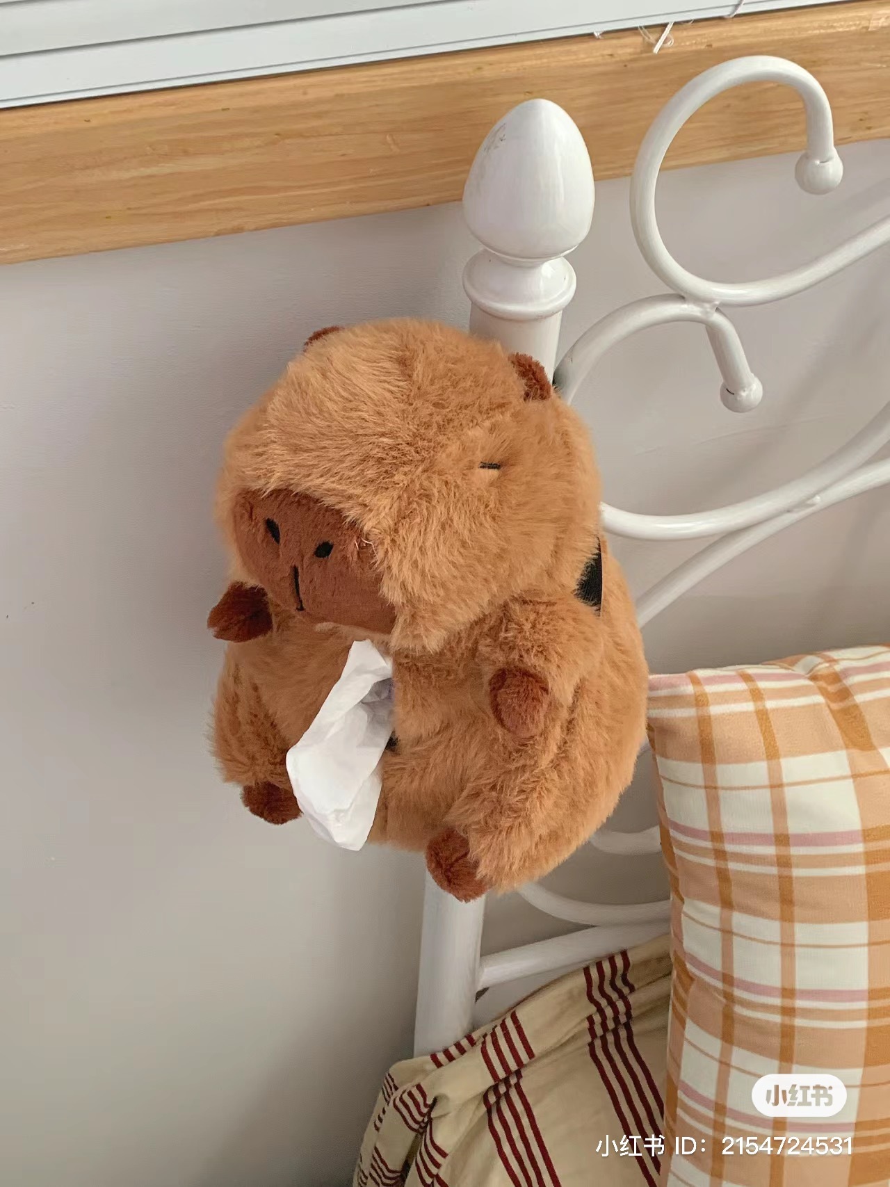 IMG_2041-1719650509012