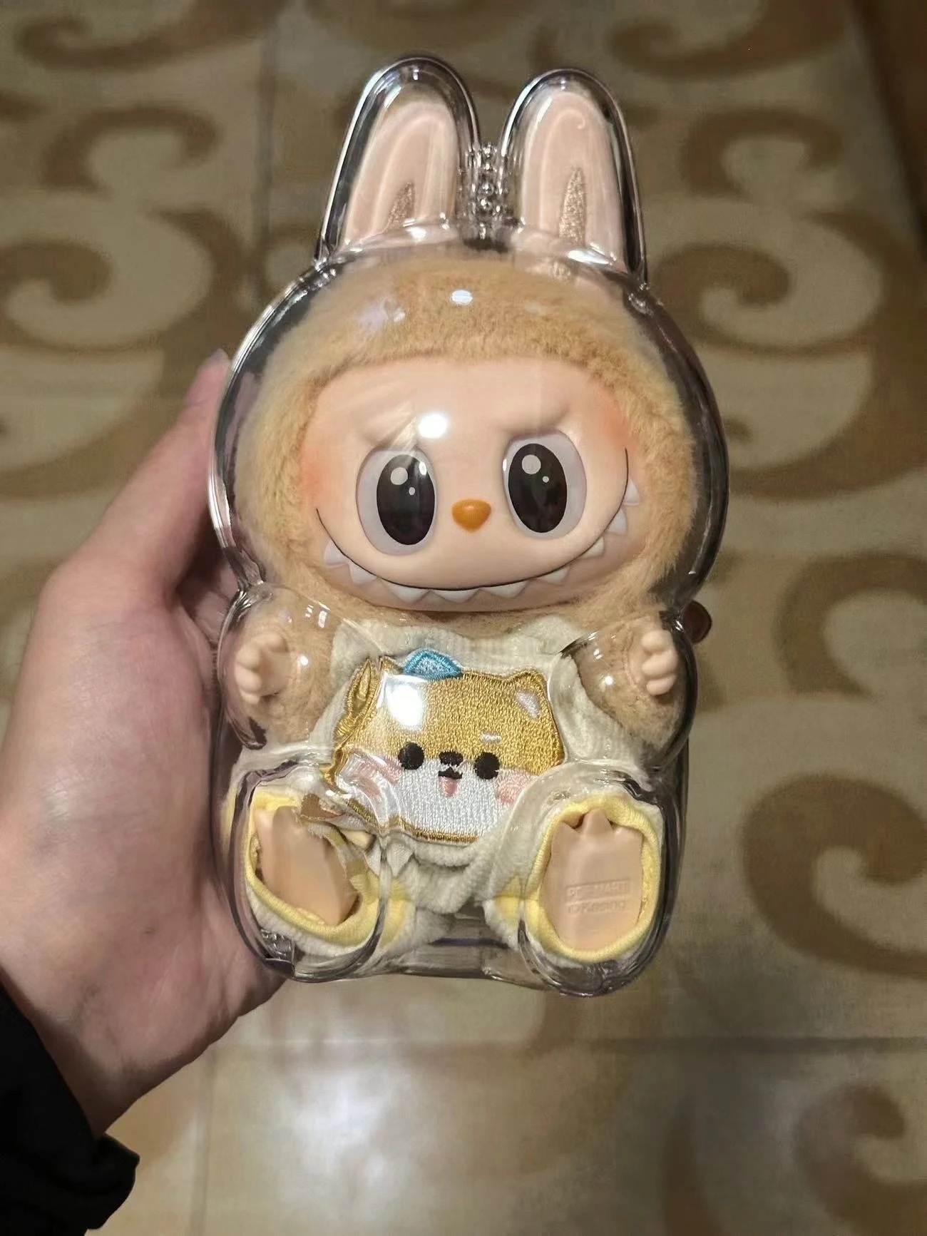 IMG_5745-1729344130767