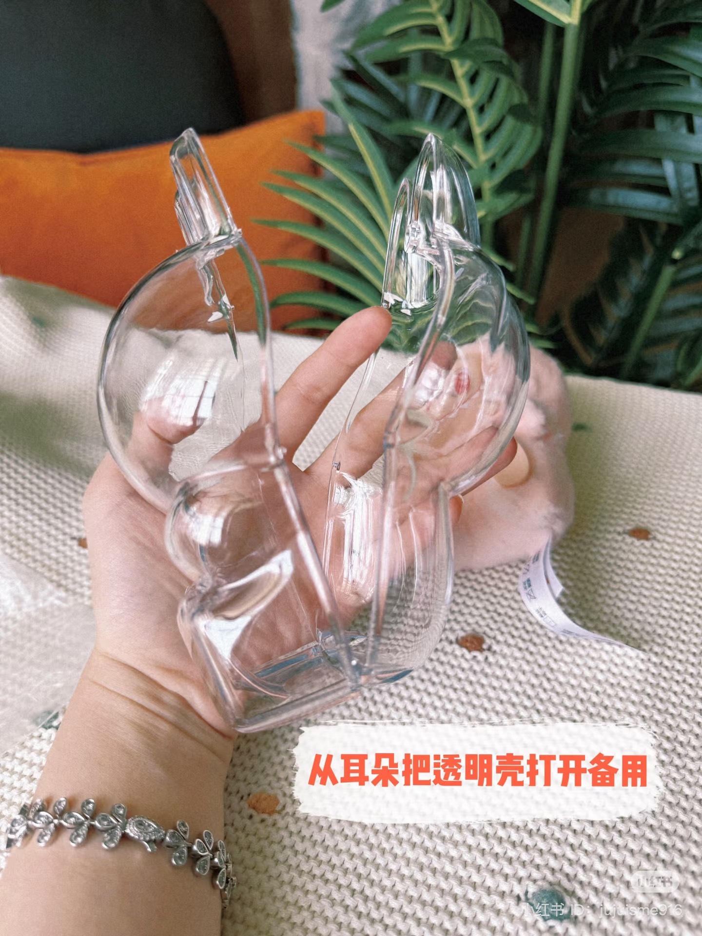 IMG_5750-1729344130804