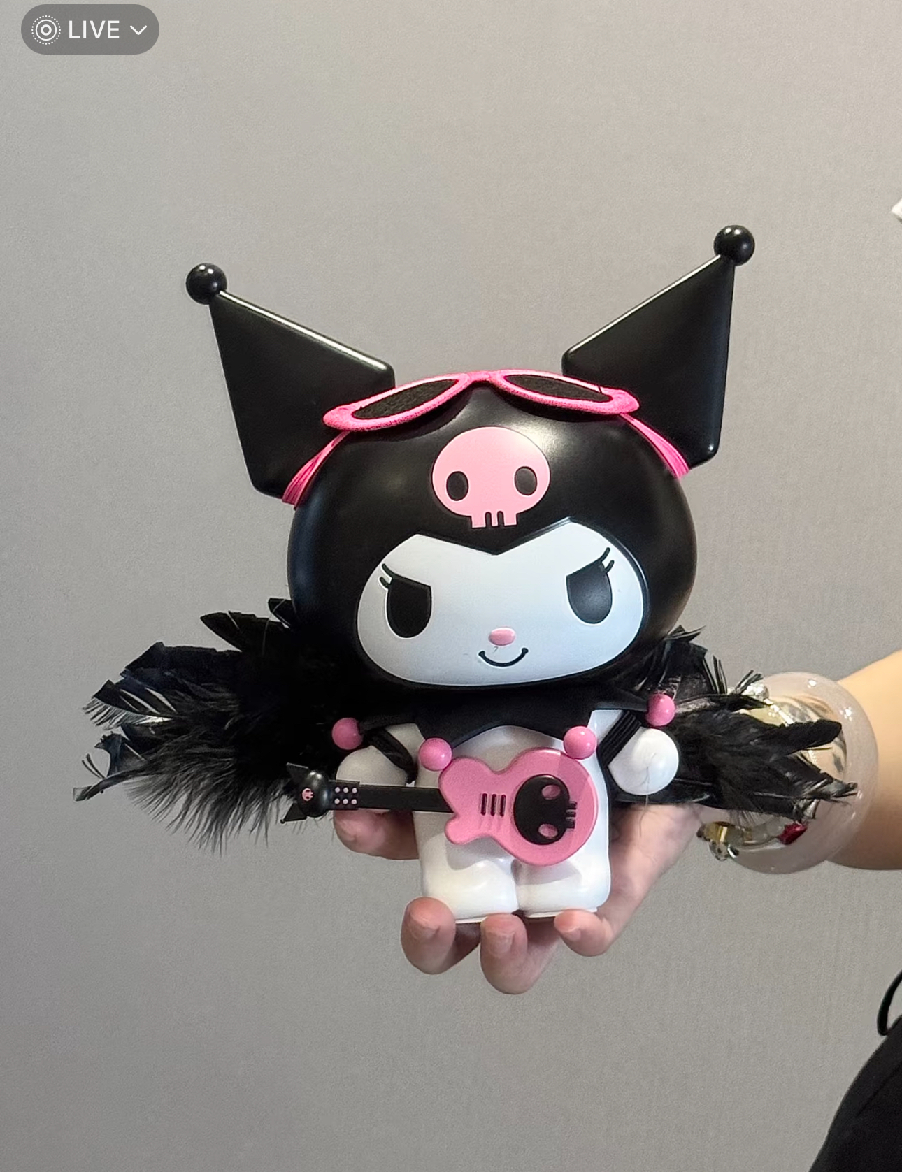 IMG_9880-1731334839793