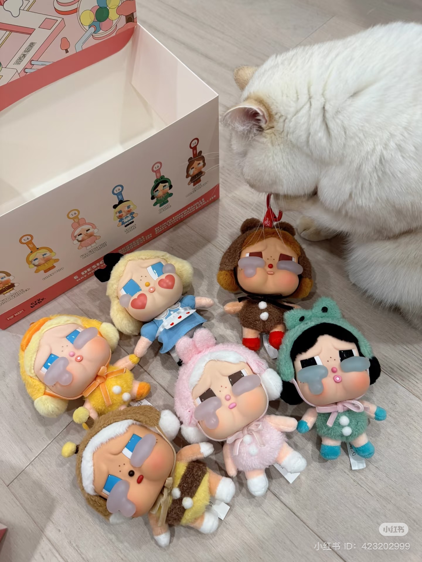 IMG_0649-1731862183175