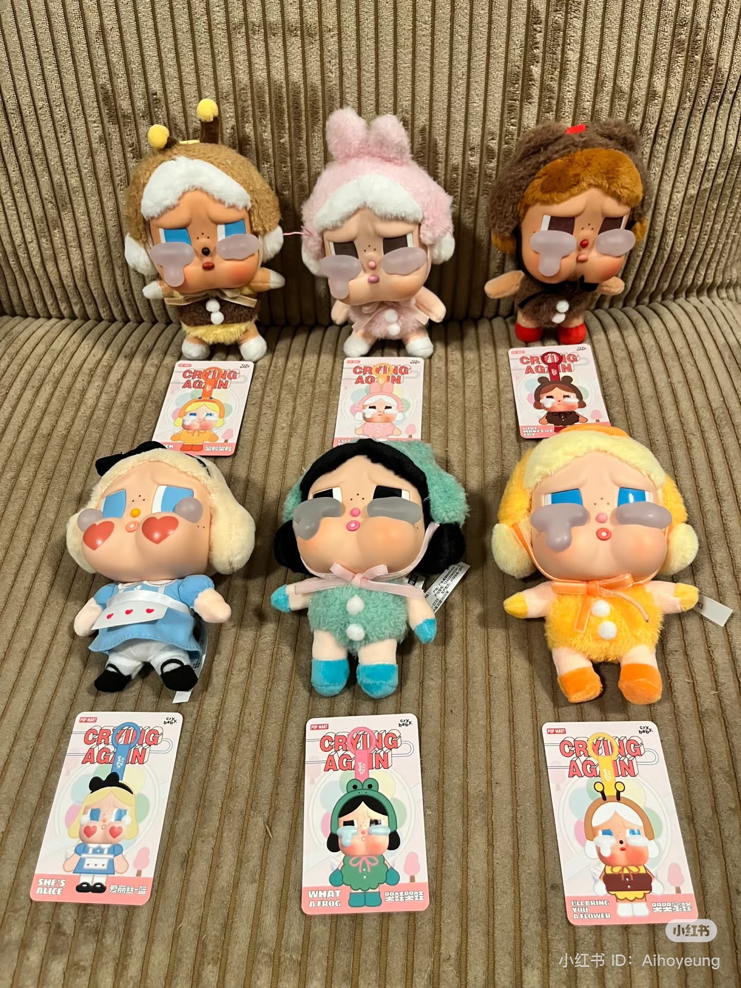 IMG_0654-1731862183211