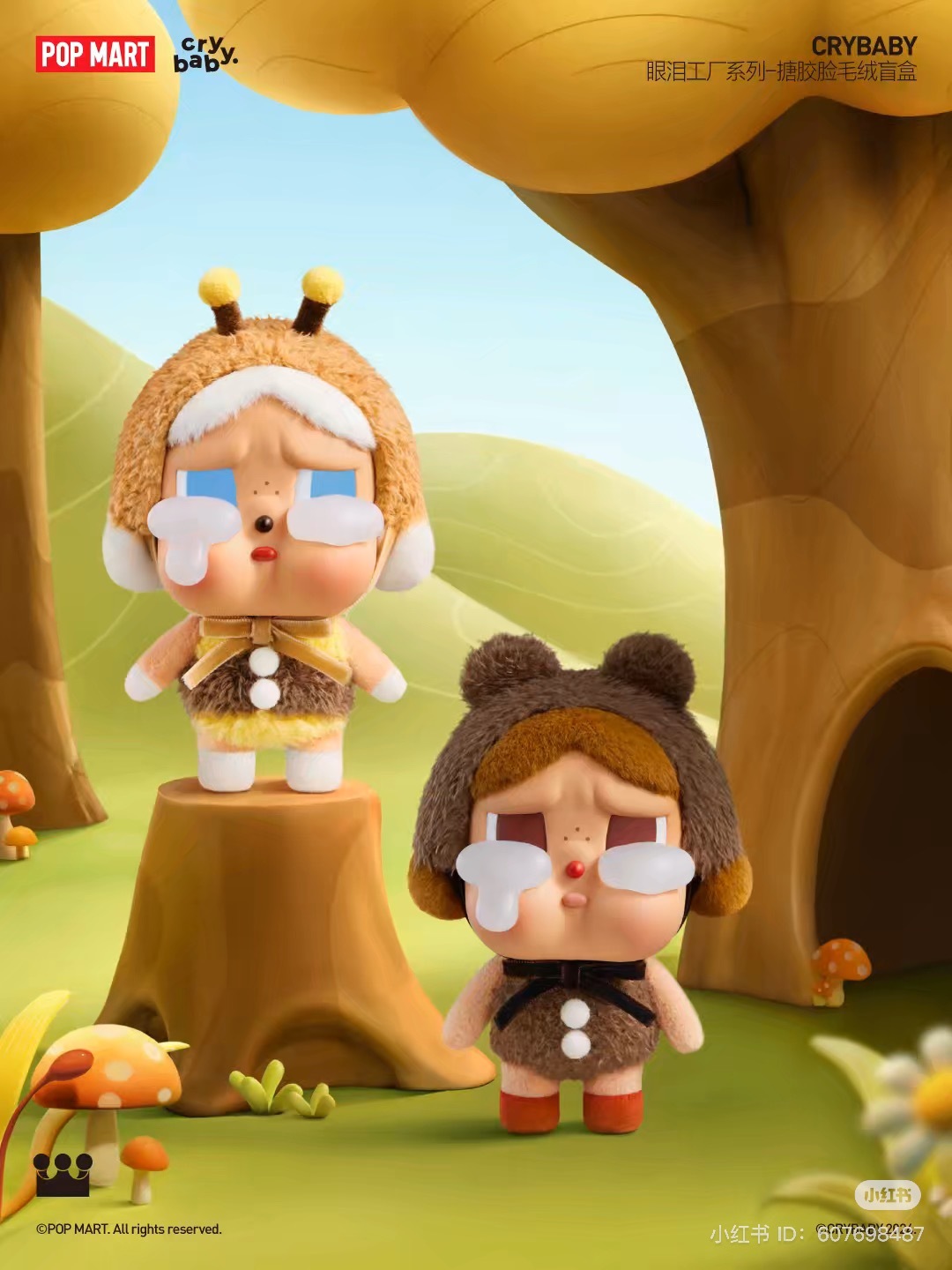 IMG_0655-1731862183217